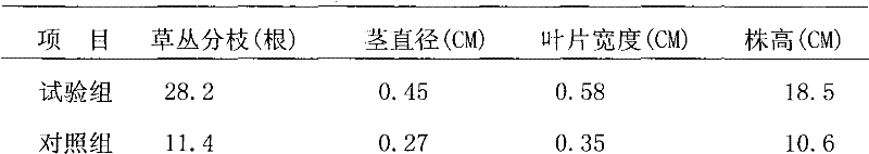 Liquid compound fertilizer for restoration of mining wasteland with municipal domestic sludge and preparation method thereof