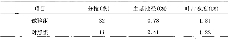 Liquid compound fertilizer for restoration of mining wasteland with municipal domestic sludge and preparation method thereof