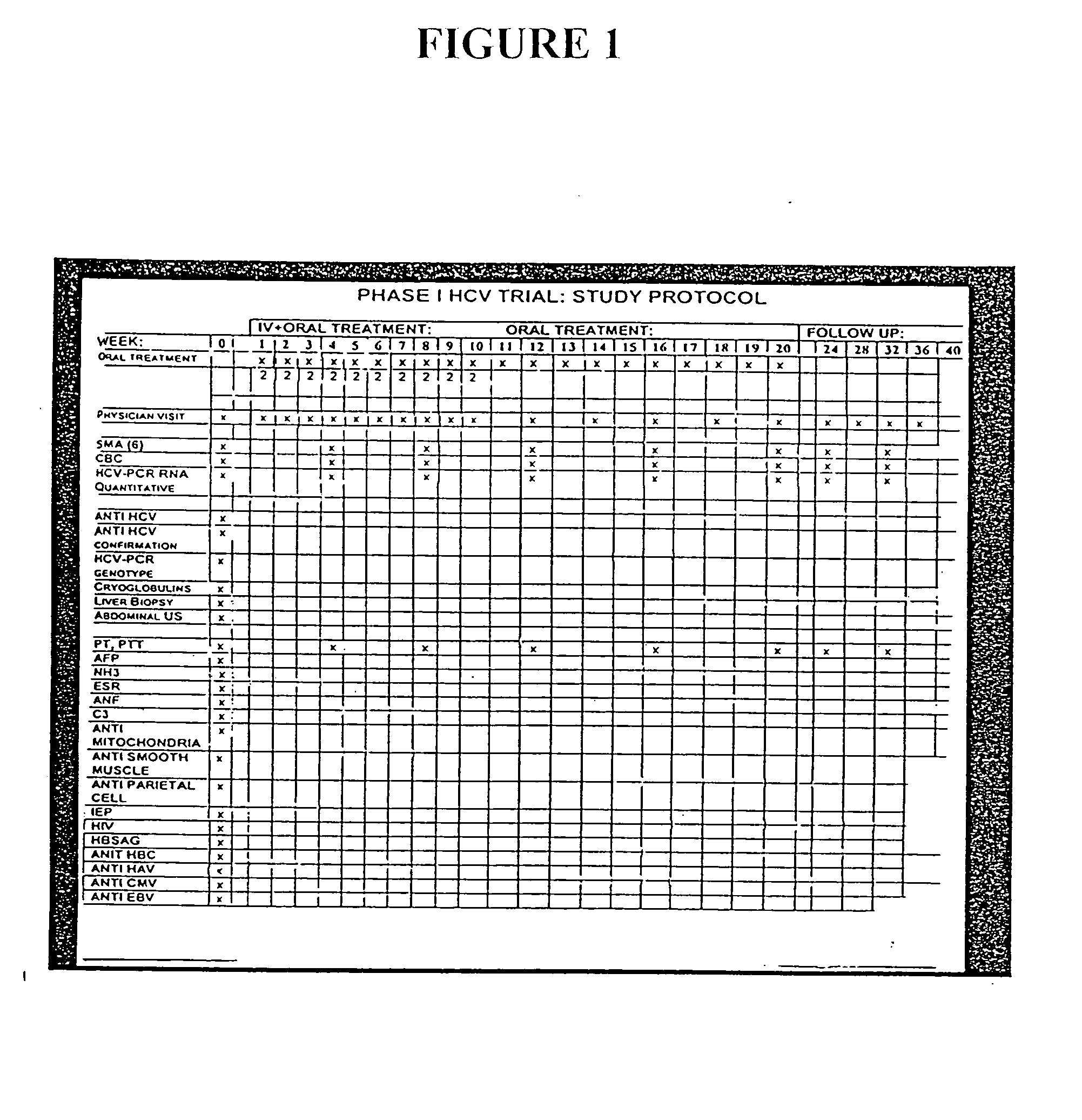 Compositions and methods useful for treating and preventing chronic liver disease, chronic HCV infection and non-alcoholic steatohepatitis