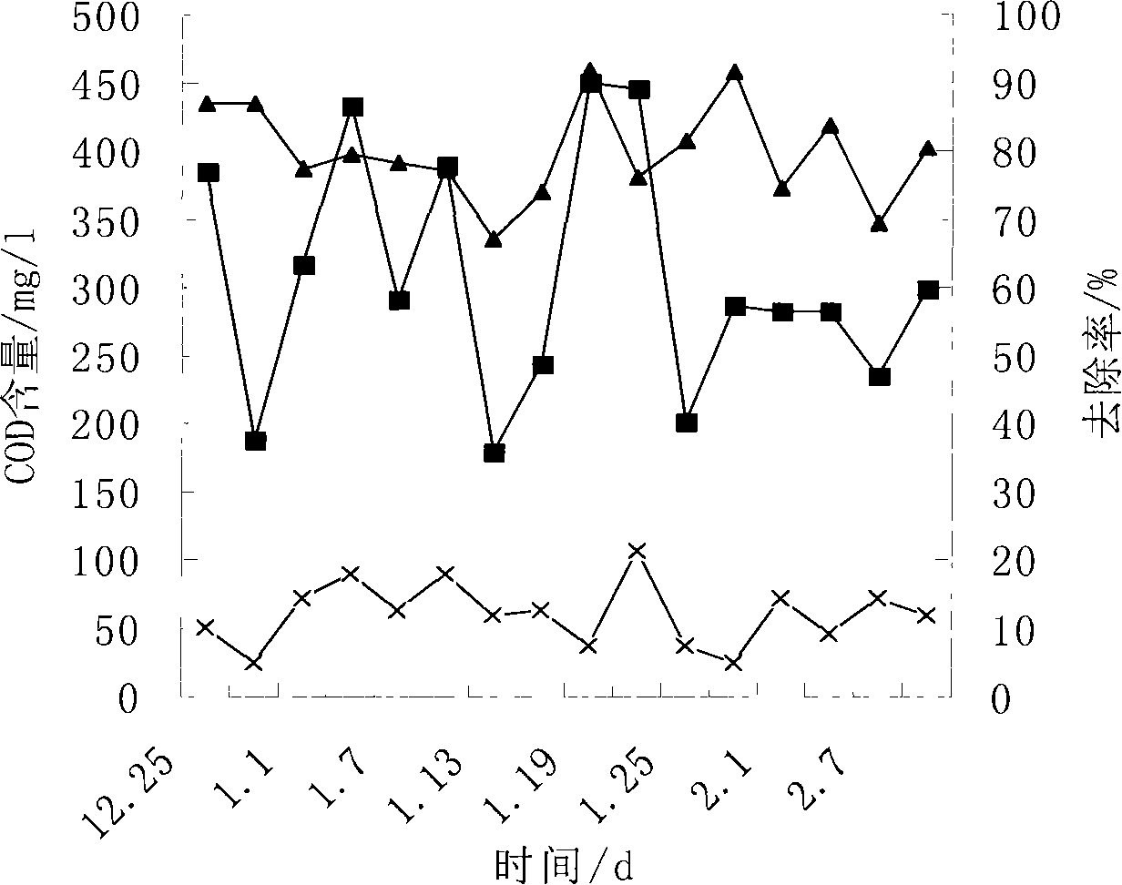 Method for low-temperature denitrification and phosphorous removal