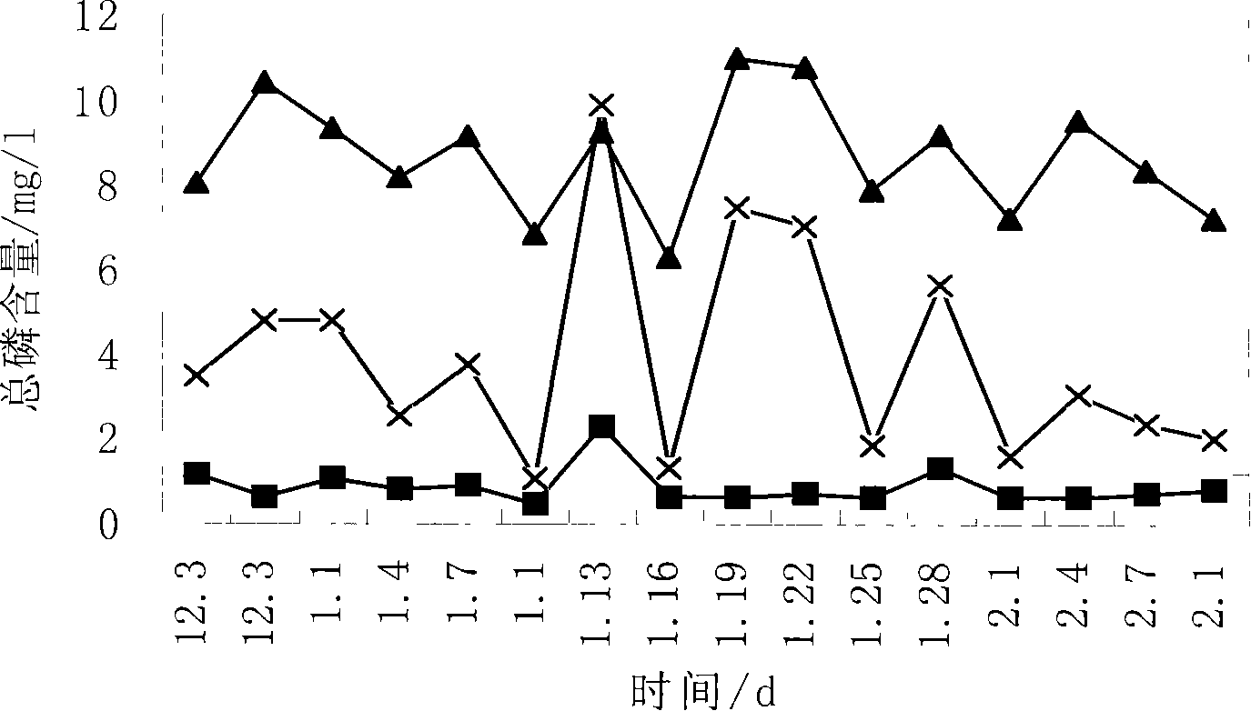 Method for low-temperature denitrification and phosphorous removal