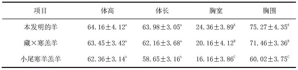 Sheep hybridization breeding method