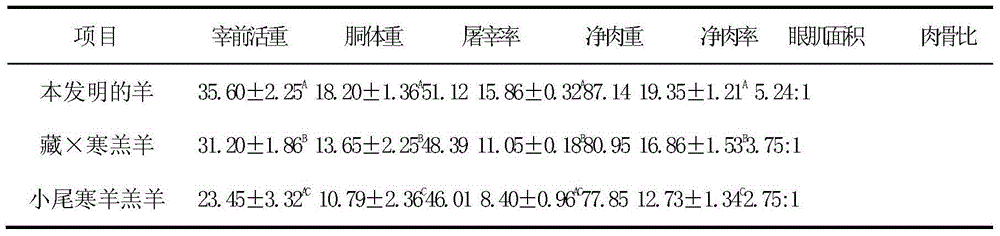 Sheep hybridization breeding method