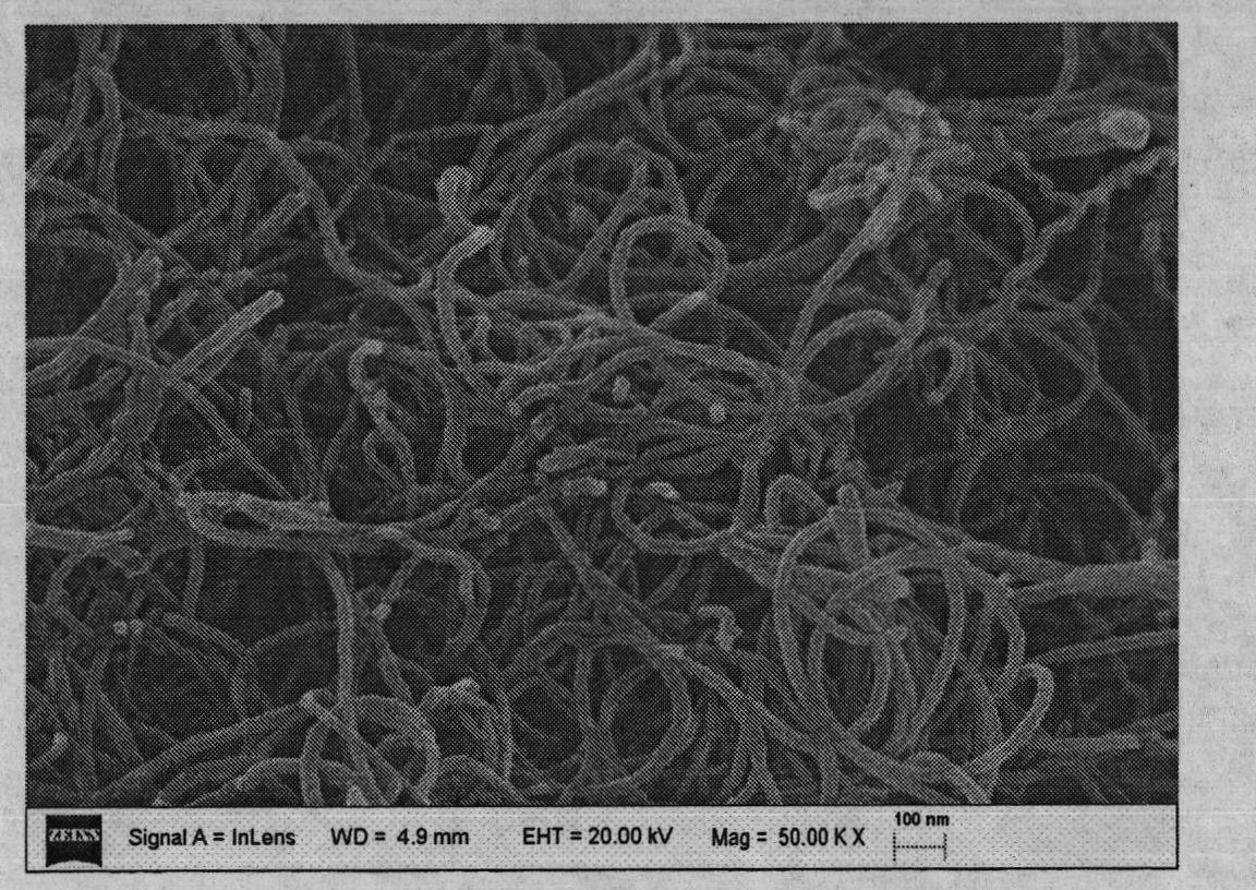 Single metal/multi-wall carbon nano tube type composite material, preparation method and application thereof