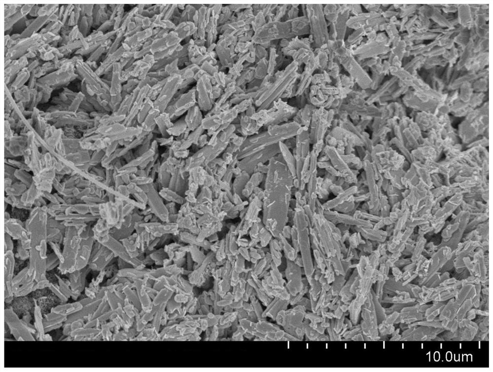 Lead-acid storage battery negative electrode lead paste and preparation method thereof, and negative electrode plate