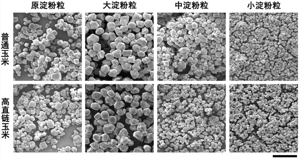 A kind of purification method of cornstarch 3 grade granules