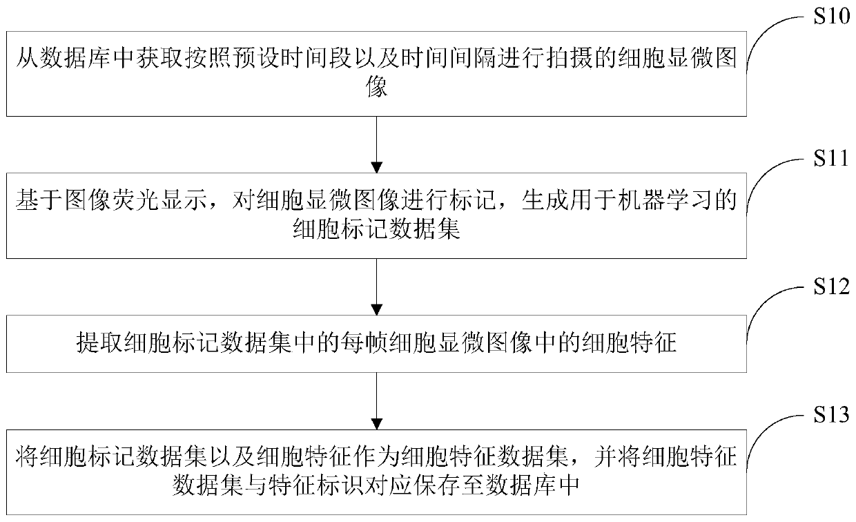 Cell identification method and device based on machine learning