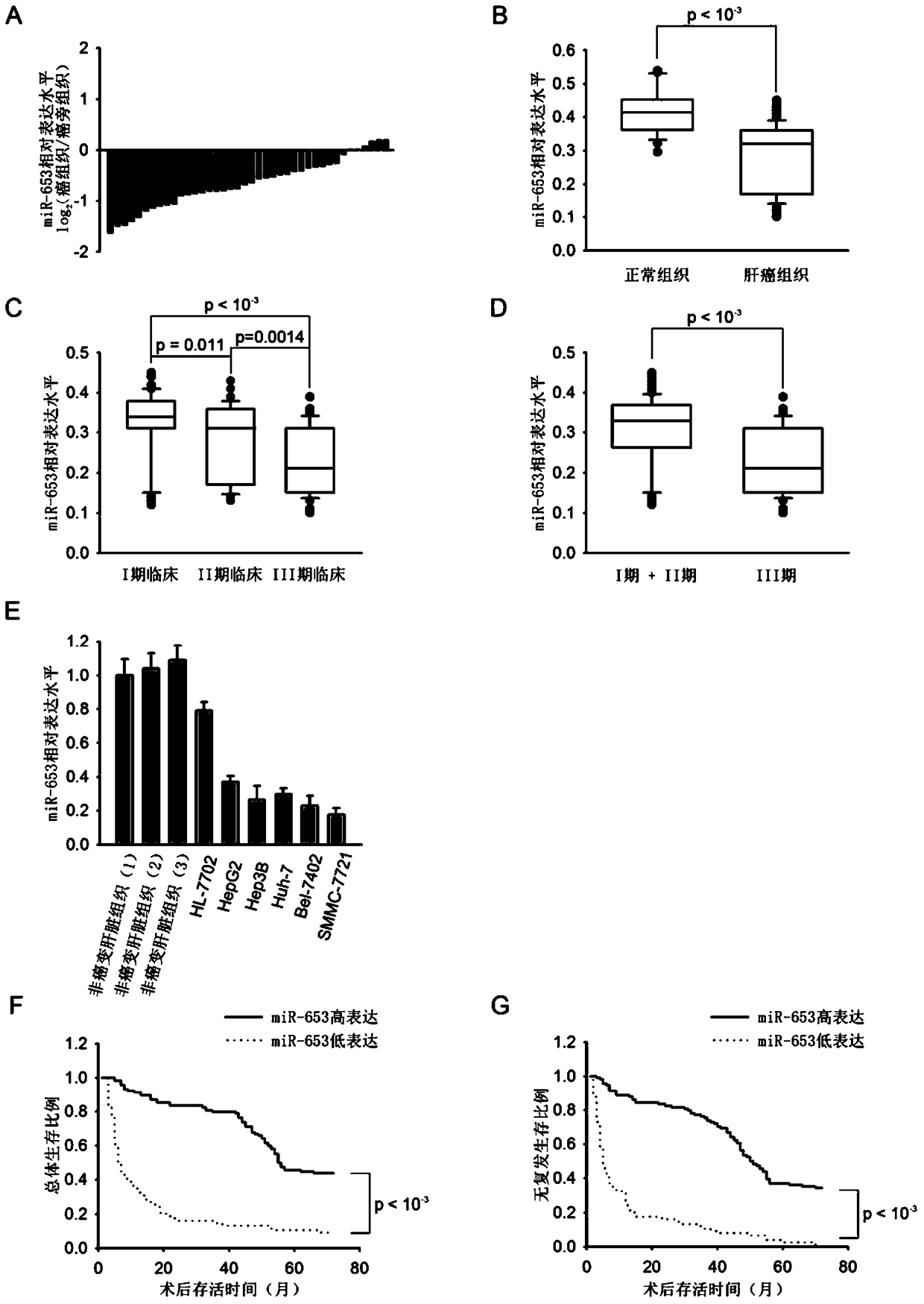 Kit for postoperative prognosis assessment of liver cancer and chemotherapy sensitizer for liver cancer