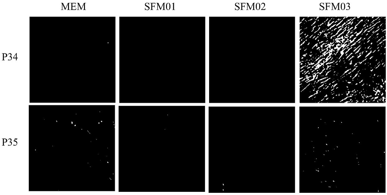 Method for preparing varicella virus stock and application thereof