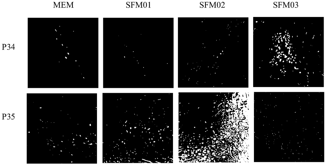 Method for preparing varicella virus stock and application thereof