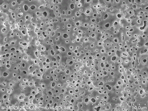 Method for preparing composite coating by adopting multi-stage pack cementation aluminizing in combination with micro-arc oxidation