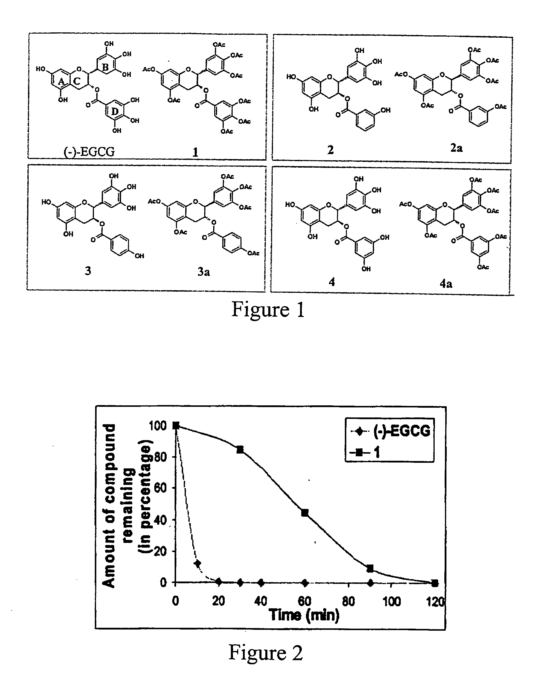 (-)-Epigallocatechin gallate derivatives for inhibiting proteasome