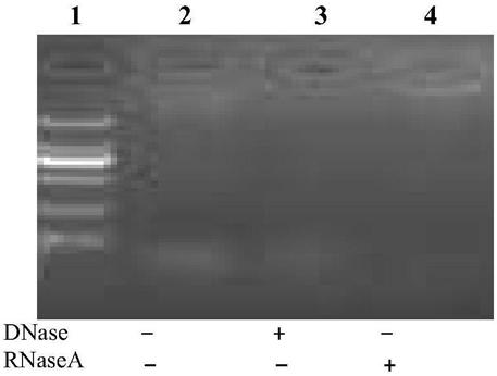 Method for extracting milk exosome