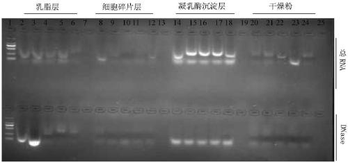 Method for extracting milk exosome