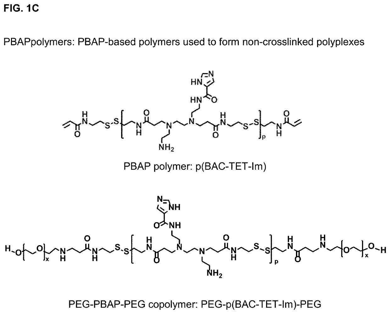 Polyplex delivery system for proteins, nucleic acids and protein/nucleic acid complexes