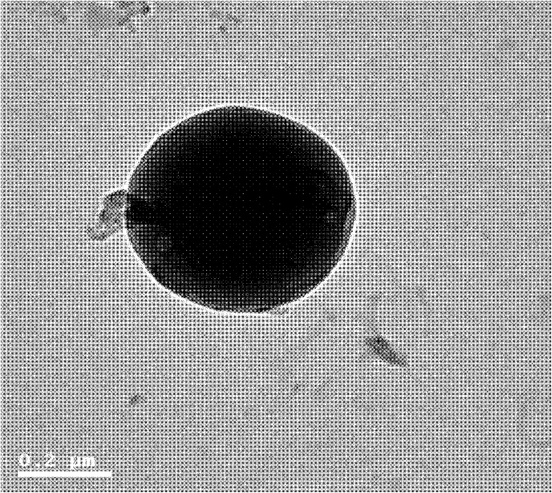 Nanometer preparation and preparation method thereof