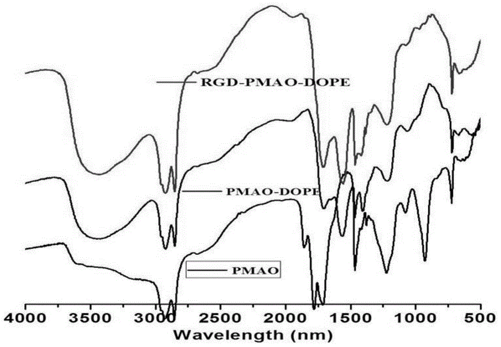 Preparation method of polymaleic anhydride-phosphatidyl ethanolamine graft polymer nano-photosensitive carrier