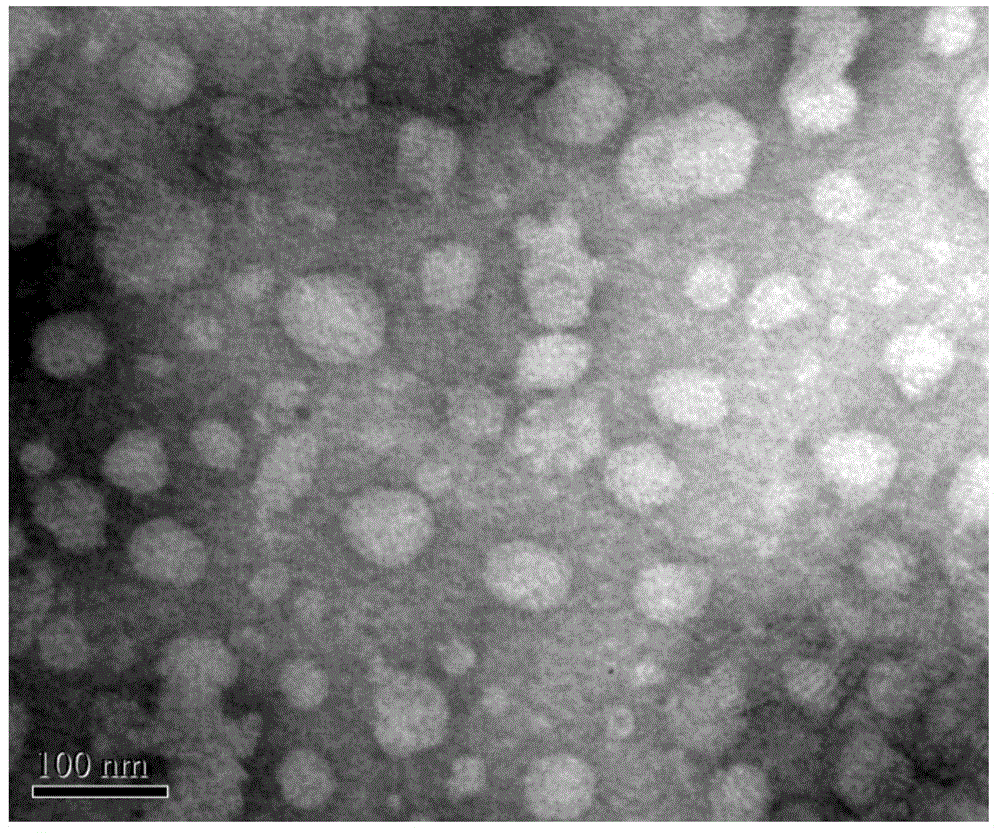 Preparation method of polymaleic anhydride-phosphatidyl ethanolamine graft polymer nano-photosensitive carrier