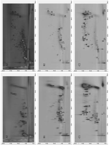 Multi-center cutting separation method for traditional Chinese medicines