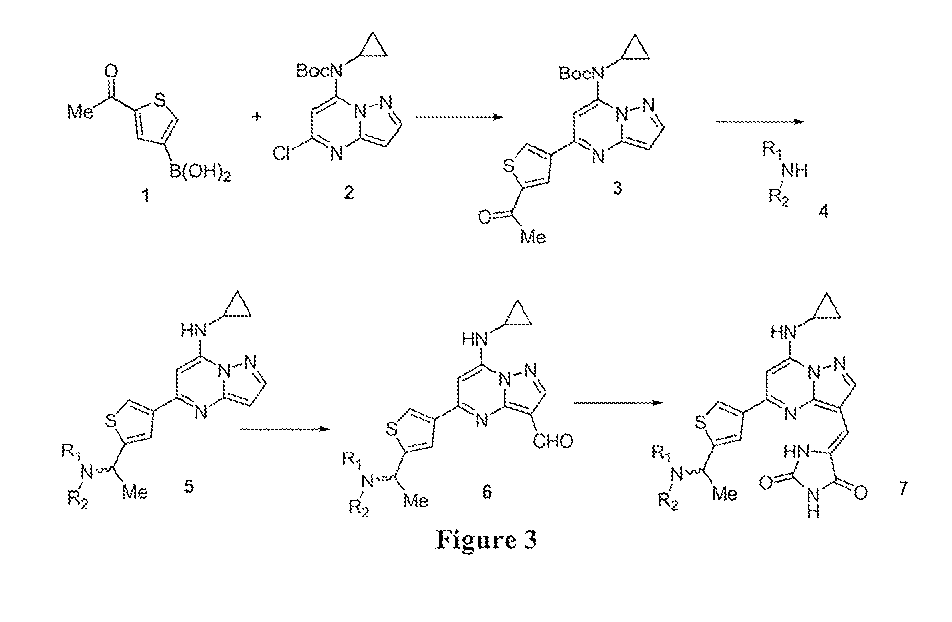 Pyrazolopyrimidines and related heterocycles as CK2 inhibitors