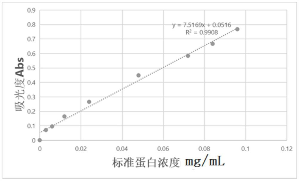 Extraction method of pigeon egg white ovalbumin