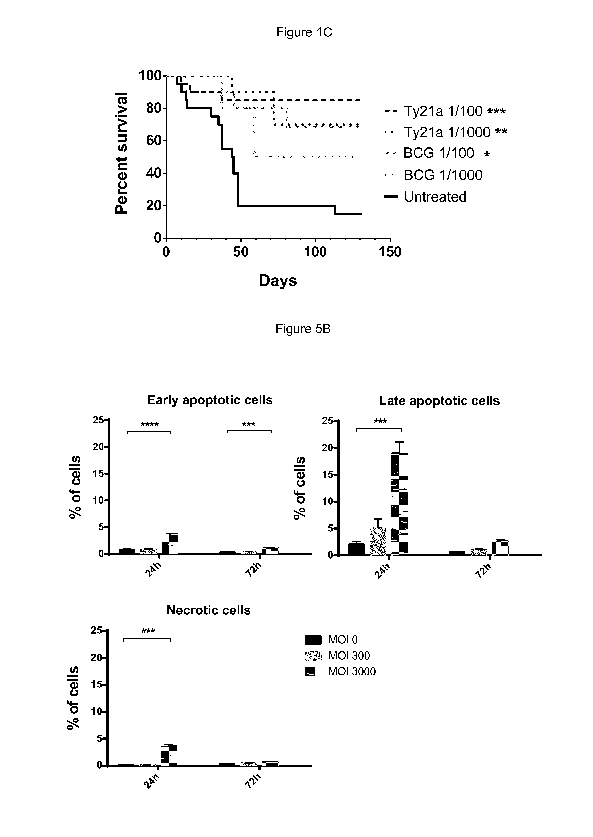 Salmonella strains for use in the treatment and/or prevention of cancer