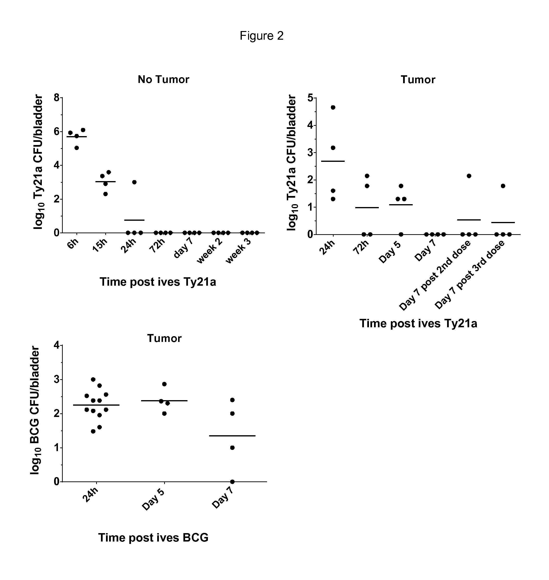 Salmonella strains for use in the treatment and/or prevention of cancer