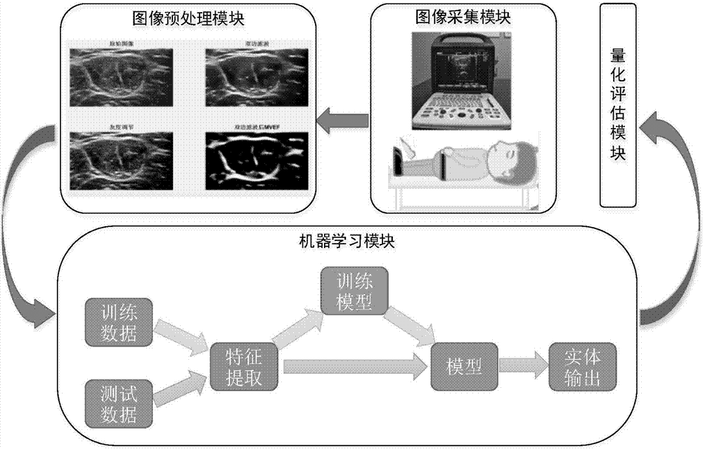 Automatic measuring method and device for volume change of skeletal muscle