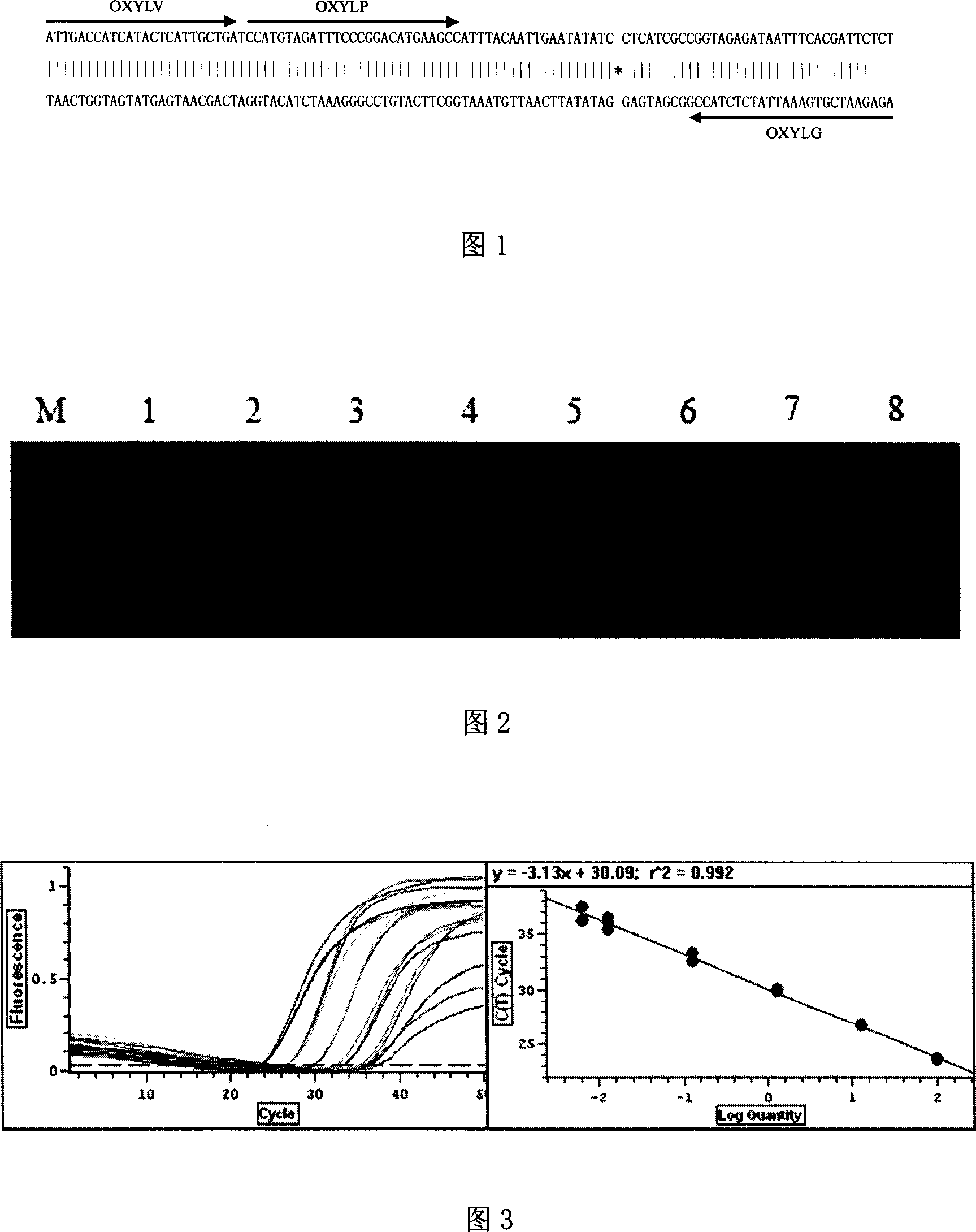 Left boundary flanking sequence of exogenous event inserting vector for transgenic rape Oxy-235 and its application