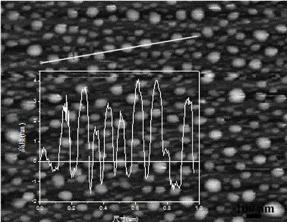 Nitrogen-doped fluorescent carbon quantum dot and preparation method and application thereof