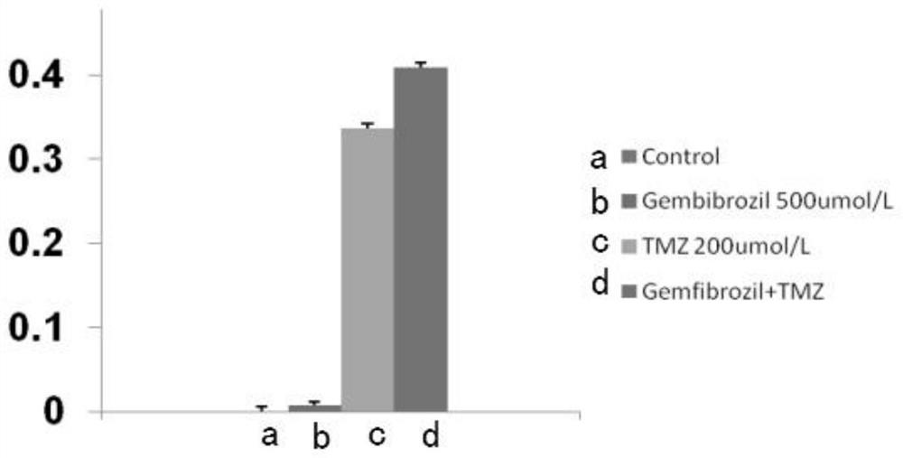 New uses for gemfibrozil