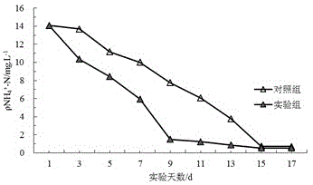 Willow-woven ryegrass floating bed and manufacturing method thereof and application thereof