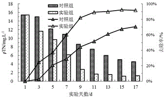 Willow-woven ryegrass floating bed and manufacturing method thereof and application thereof