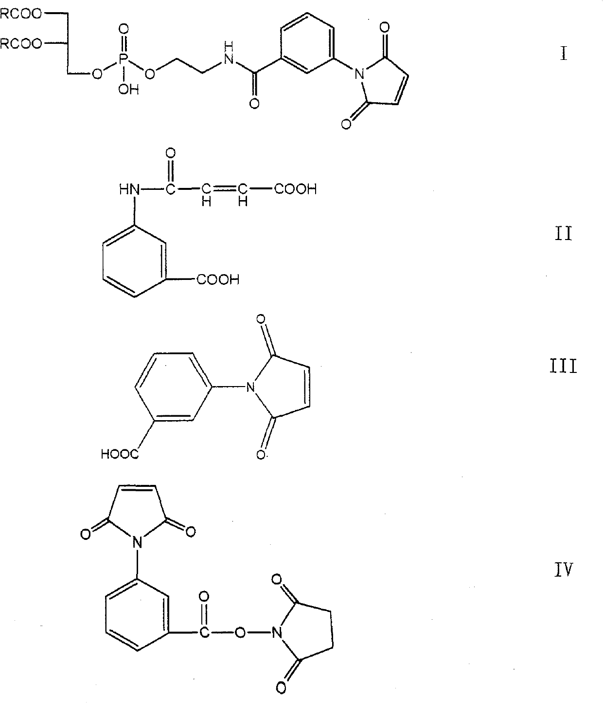 Synthetic method of maleimide phosphatidyl ethanolamine