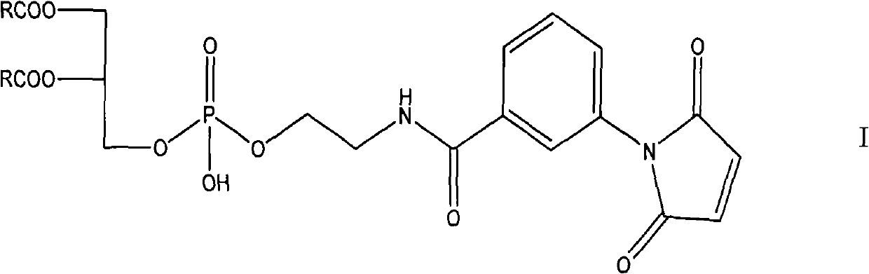 Synthetic method of maleimide phosphatidyl ethanolamine