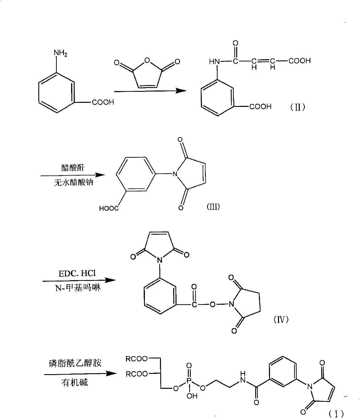 Synthetic method of maleimide phosphatidyl ethanolamine