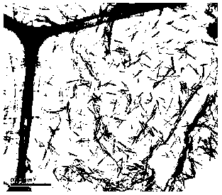 Method for preparing composite of grapheme with different oxidation degrees and manganese dioxide