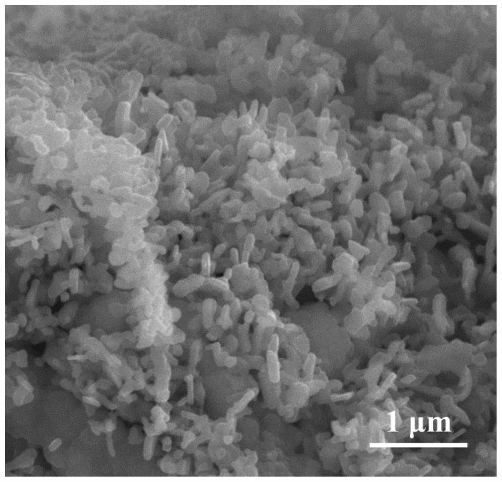 Preparation method of nickel-rich NCM811 nanoparticles