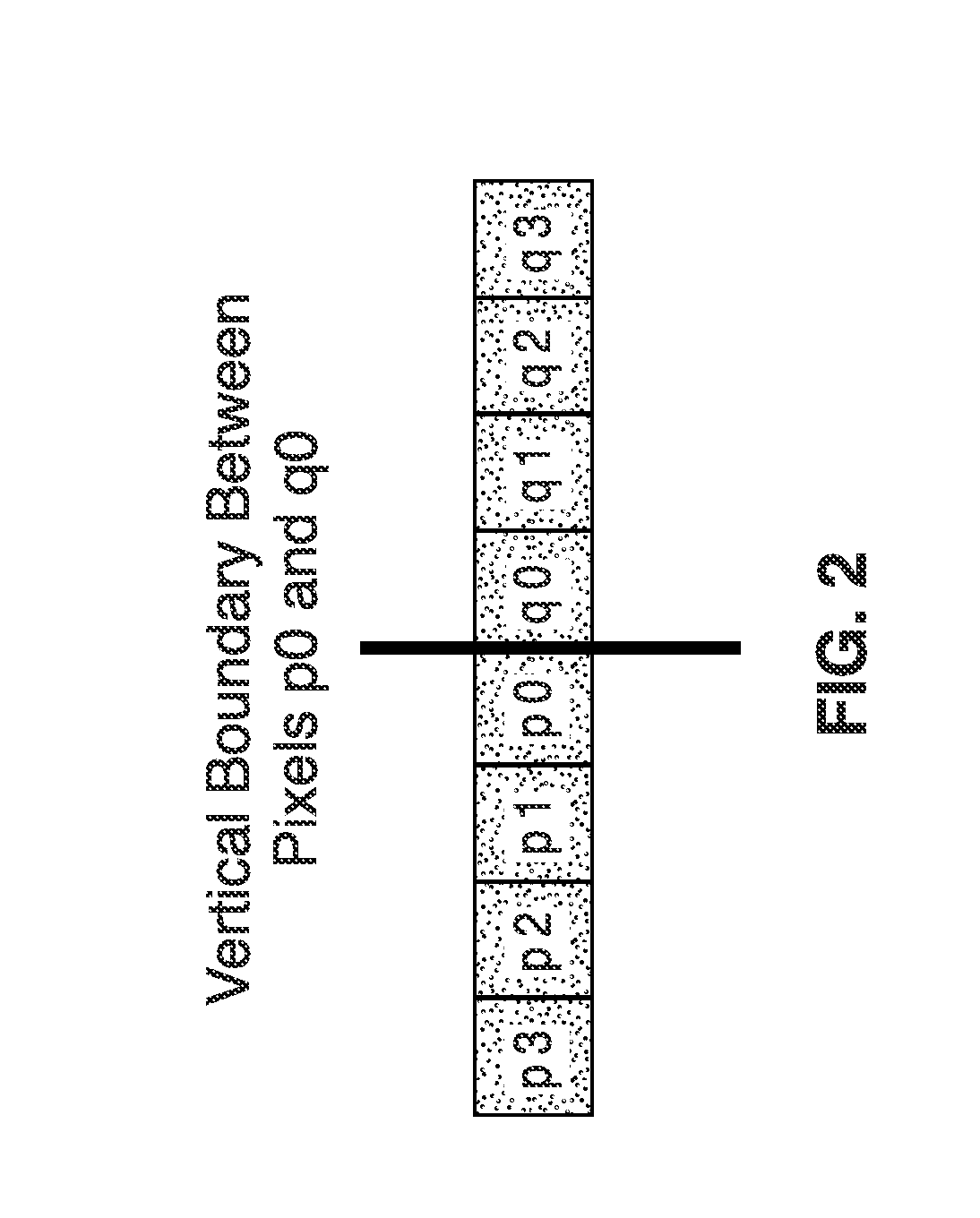 Boundary adaptive intra prediction for improving subjective video quality