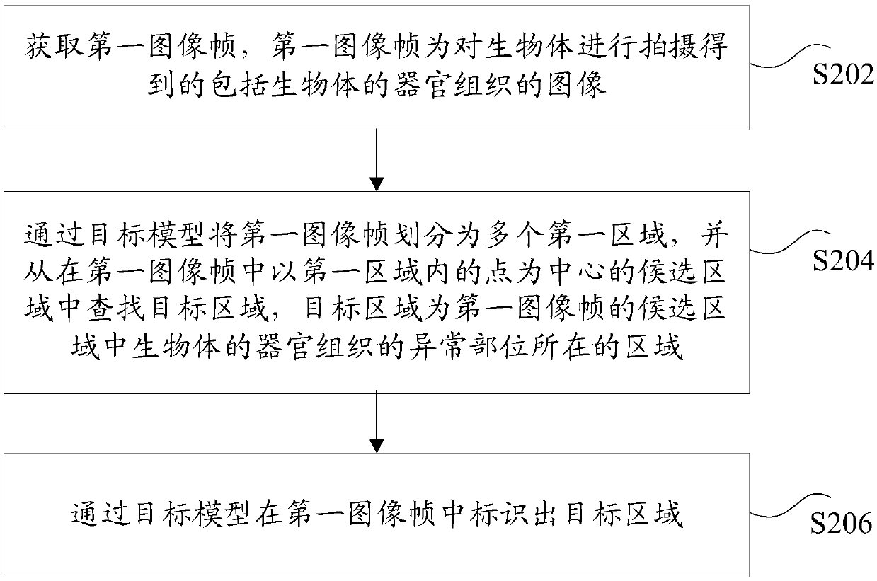 An abnormality identification method, device and system for a biological organ tissue image