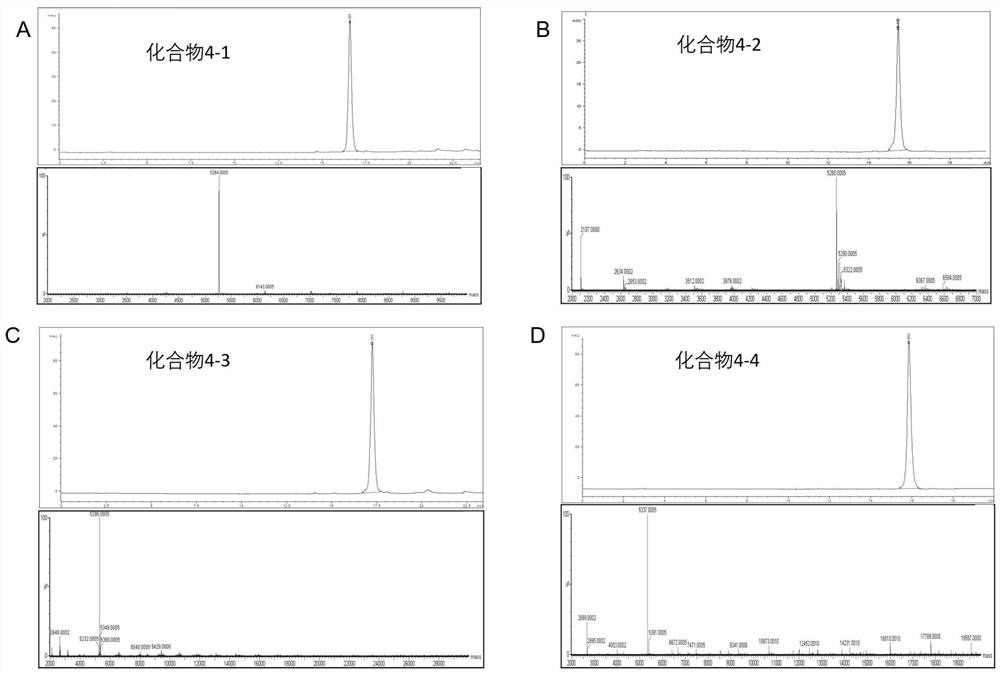 Probe capable of reducing radioactive kidney concentration based on enzyme digestion principle and preparation method thereof