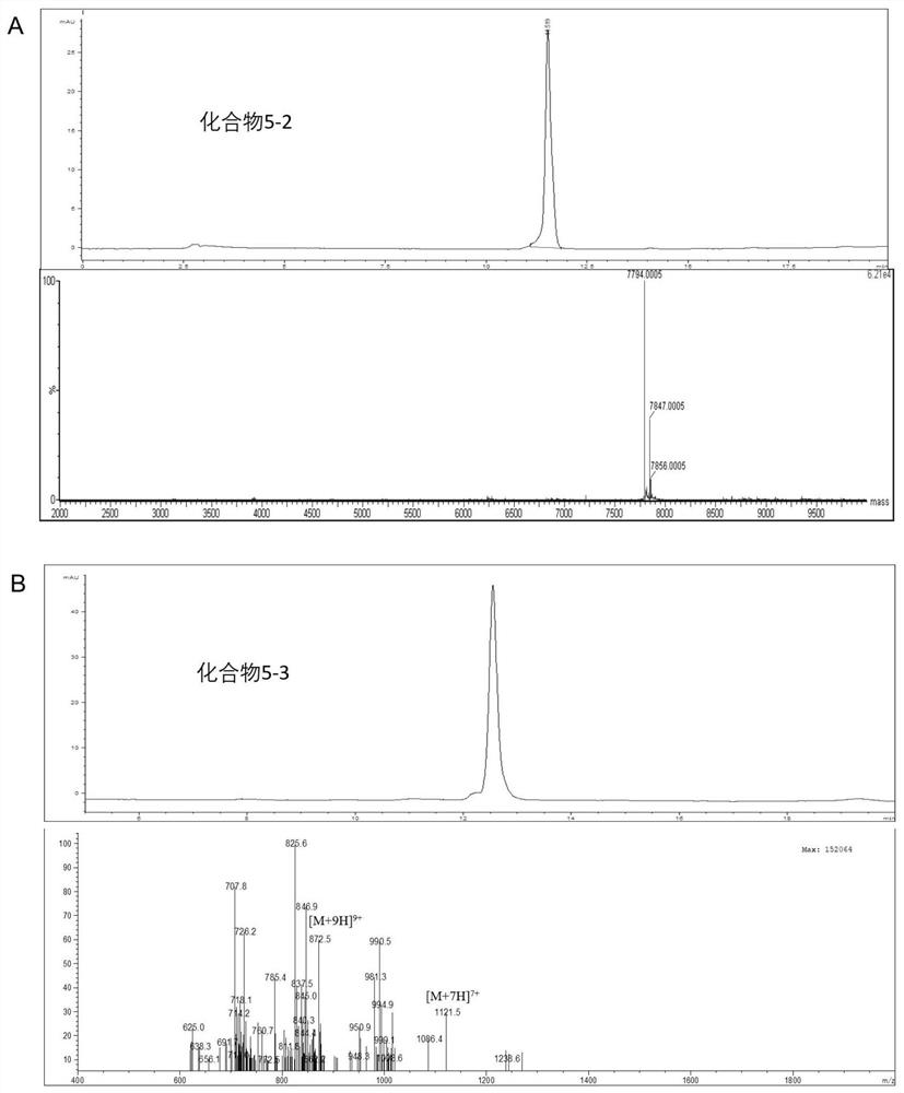 Probe capable of reducing radioactive kidney concentration based on enzyme digestion principle and preparation method thereof