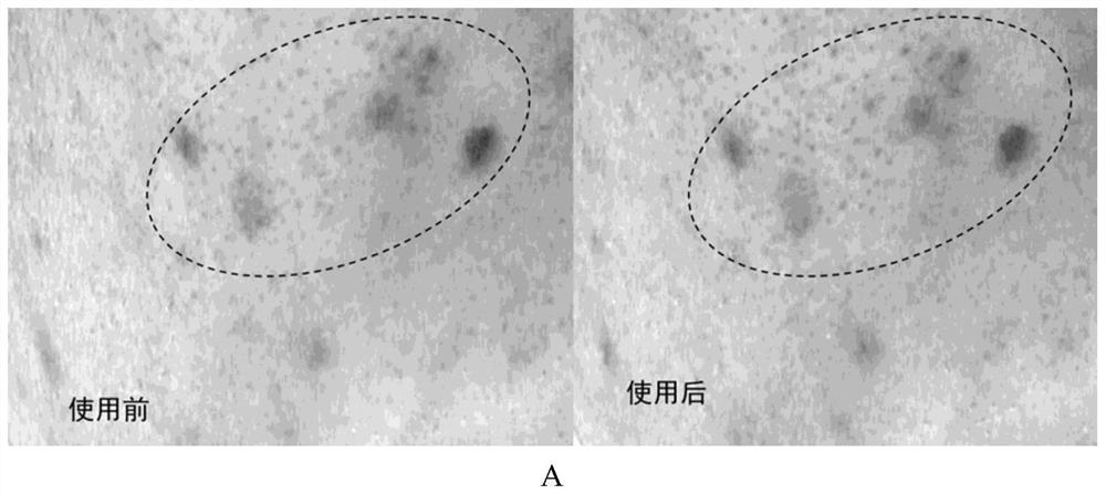 Soothing, repairing and moisturizing face cream and preparation method thereof