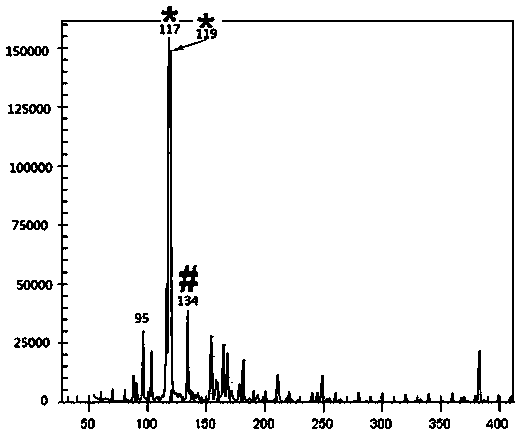 Method for identifying Qianshan No.2, new variety of Erigeron Breviscapus (Vant.)Hand.-Mazz. by utilizing AFLP (amplified fragment length polymorphism)-CE (capillary electrophoresis) technique