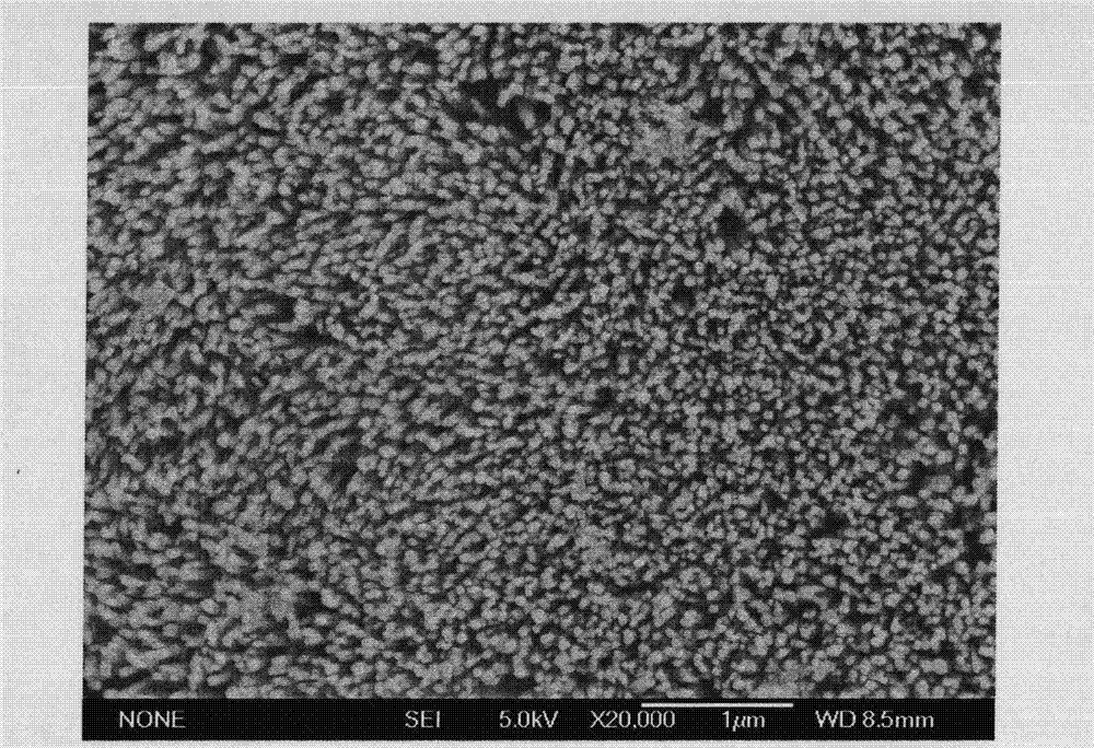 TiO2 nuclear shell structure nano rod array coated with carbon bed and preparation method thereof