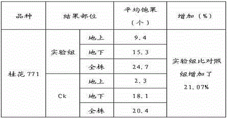 A kind of culture medium for peanut needle cultivation