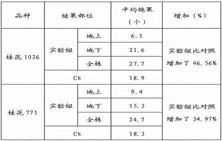 A kind of culture medium for peanut needle cultivation