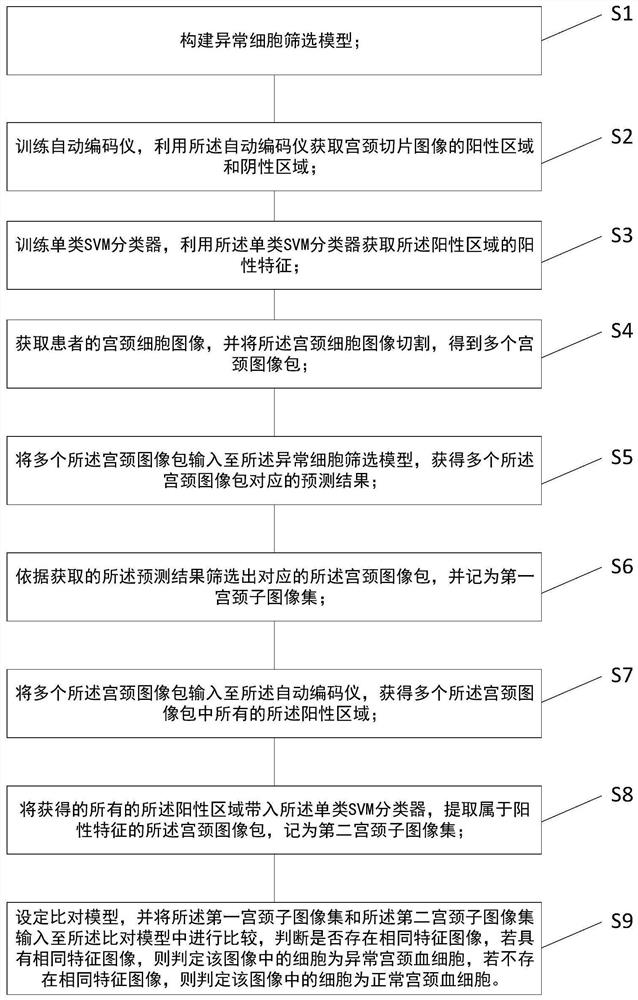 Abnormal cervical blood cell screening method based on TCT film preparation