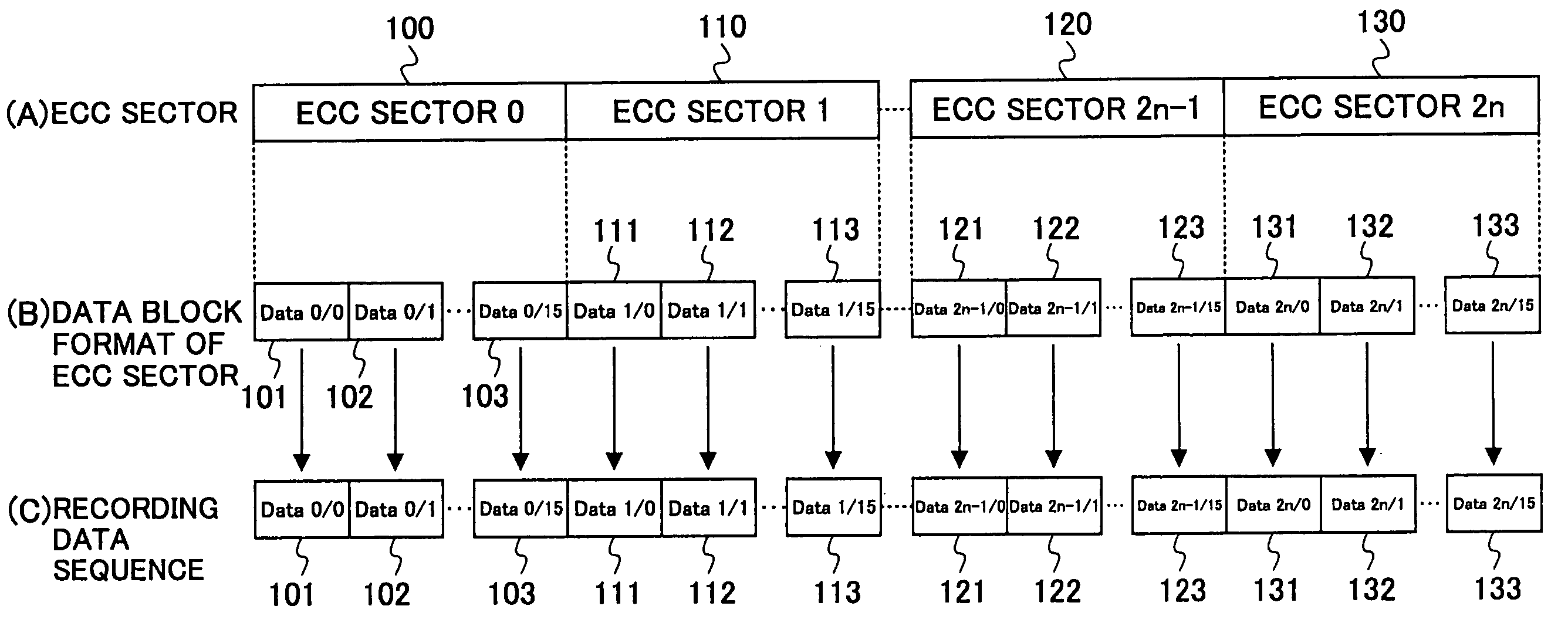 Data recording/reproducing apparatus and data recording/reproducing method