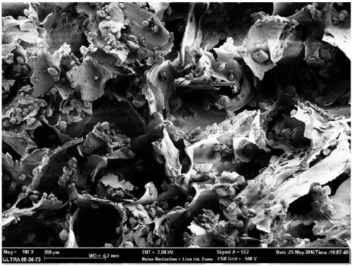 A three-dimensional porous g-c3n4/c airgel based on cellulose and its preparation method